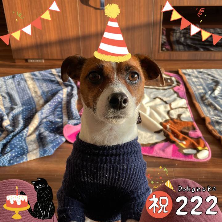 C58ae38a f7e9 4345 8275 a4976eda3eb9 1645510297156