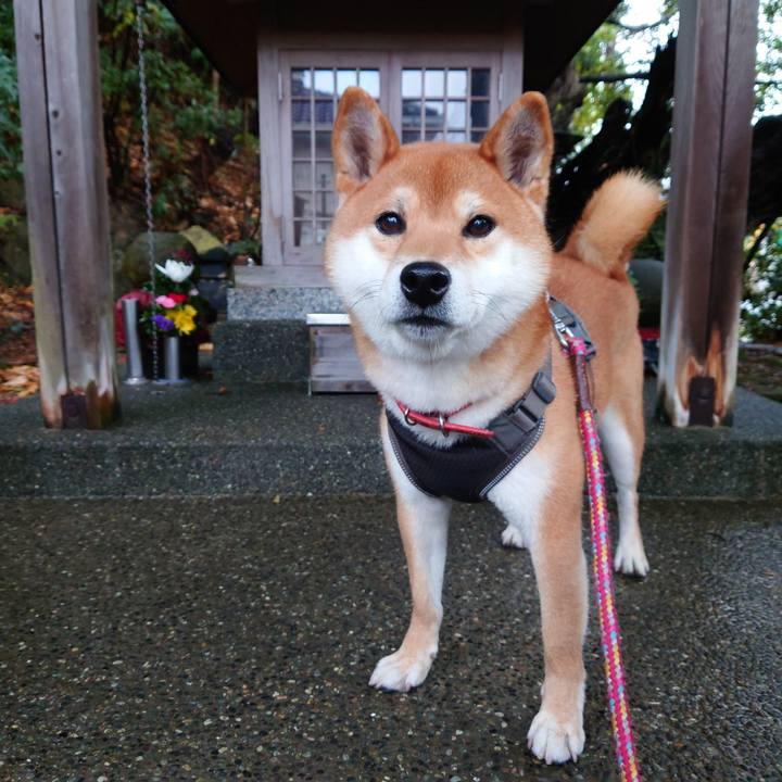 C58af429 1c72 4580 b1ec 885c49ac311c 1765702096785