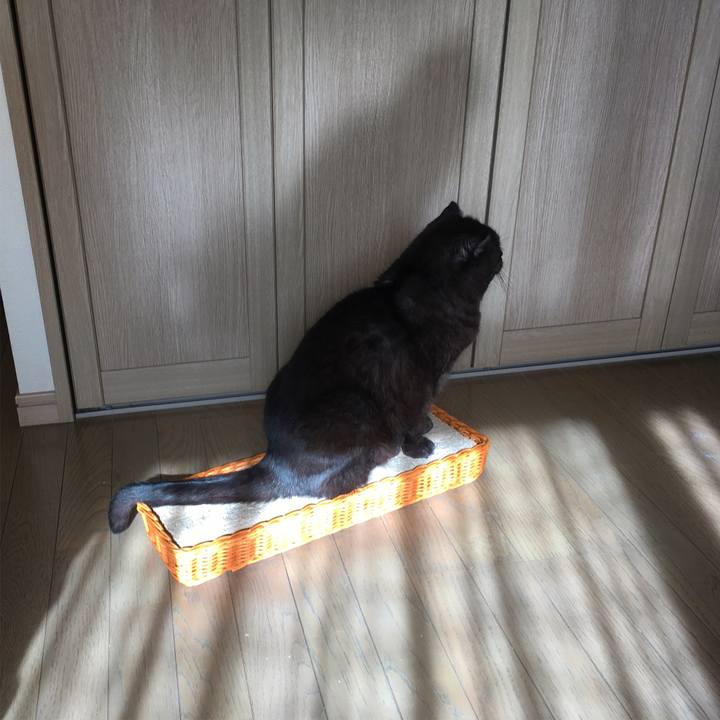 C58afb02 9aec 4242 8b3d 55a53d981979 1544759276086