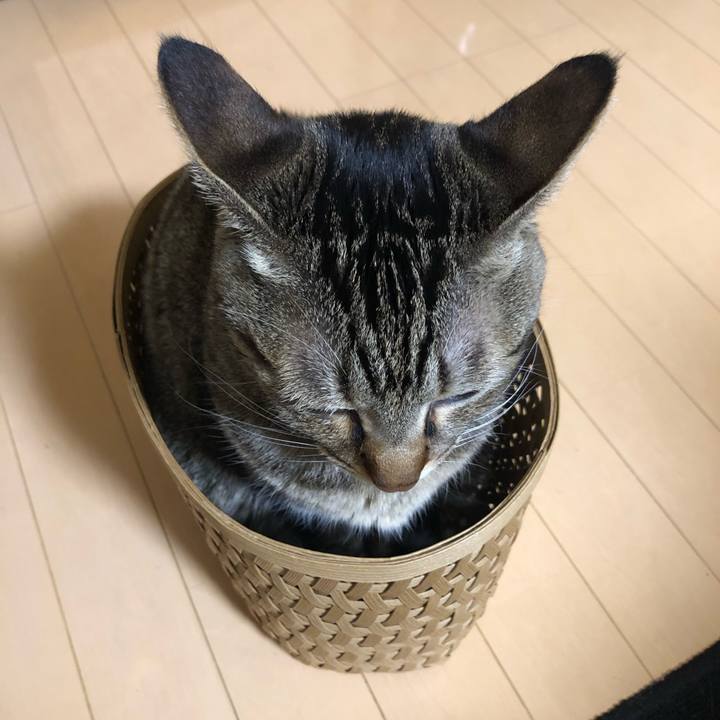 C58b034e 1d07 4118 8a25 bb243305cef2 1610033539496