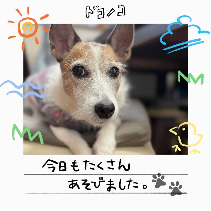 C58b170c 8b44 44e1 8f0f b69c2b9b84ca 1755474070459