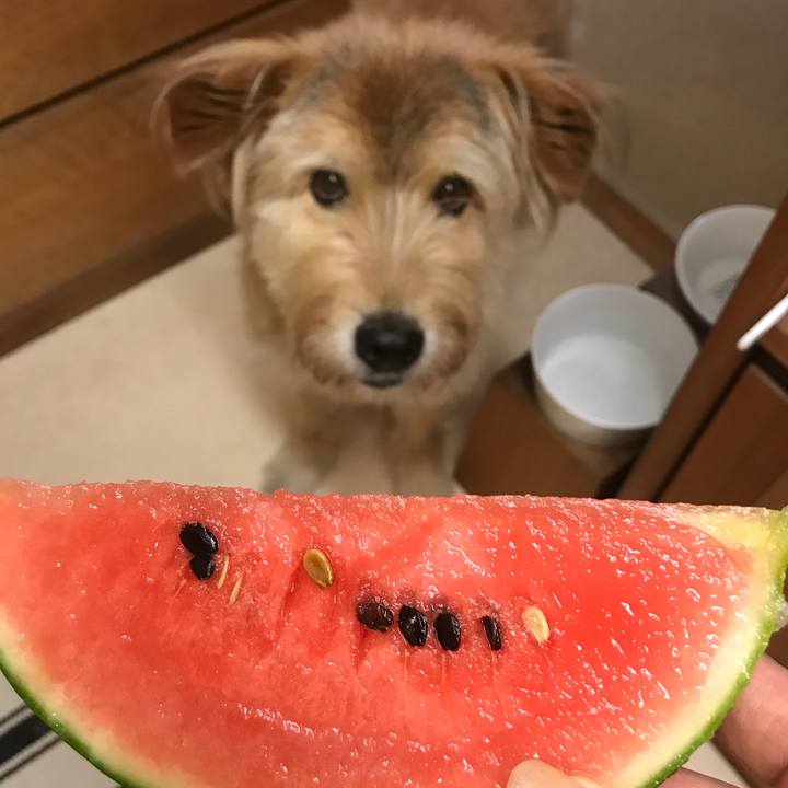 C58b2788 33b5 4ea6 8a12 e19a5e983efe 1532480574414