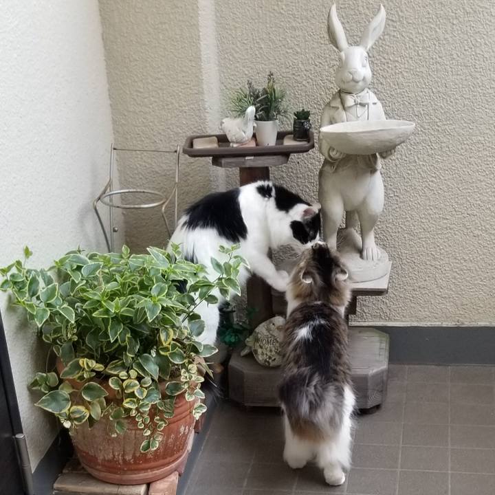 C58b3d3d b1e4 4a45 9fc5 1fb69812e54d 1556923630622