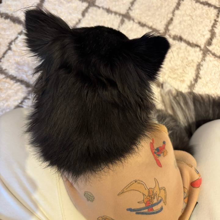 C58b571a fd80 4750 b61b a0caa9103145 1741449841639