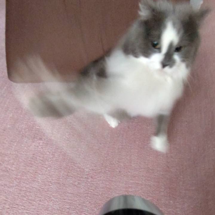 C58b6f15 80d6 485a 9a06 503cdb4aa36a 1687583172530