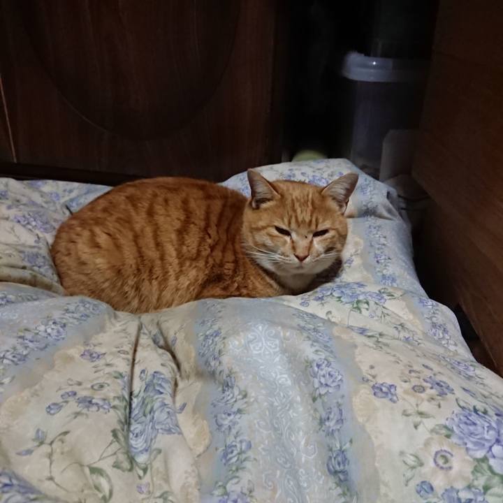 C58b7dad 08a5 4da9 b330 29963cc6830b 1580037548472