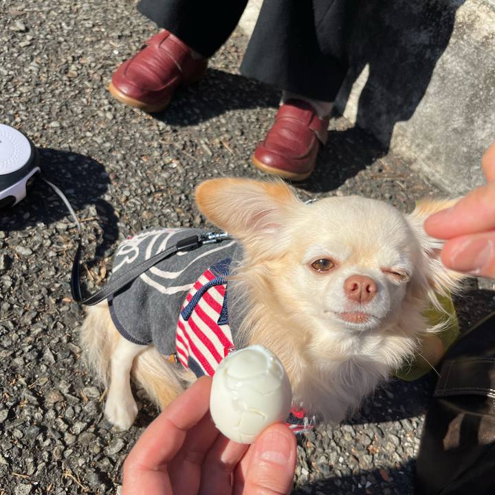 C58bb606 e380 4b4c 9537 b23c66e1e460 1736168235327