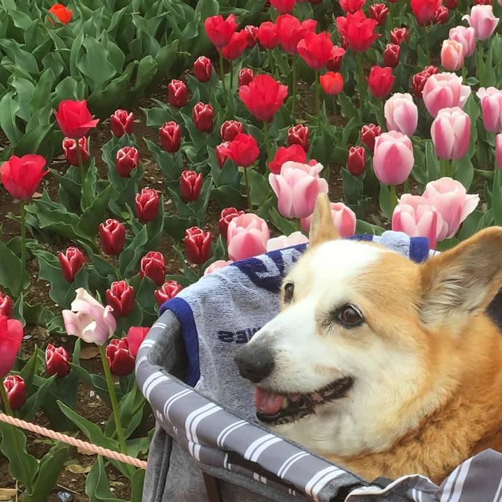 C58bf280 0d40 489e 994c 8148e60816cd 1586134603114