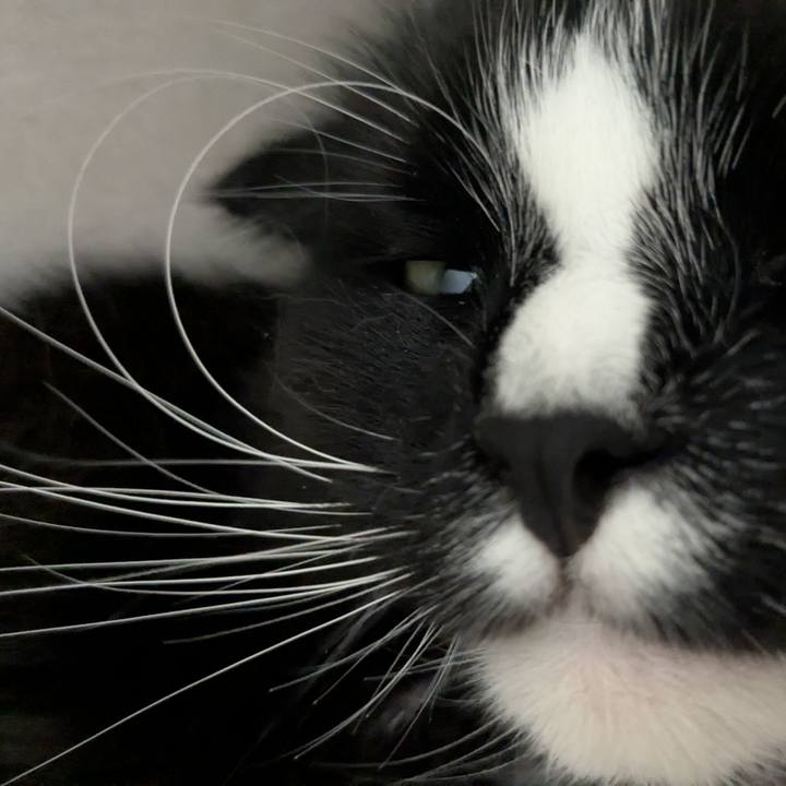 C58bf3a0 f345 4c53 8858 8b7a82c57160 1748494903707