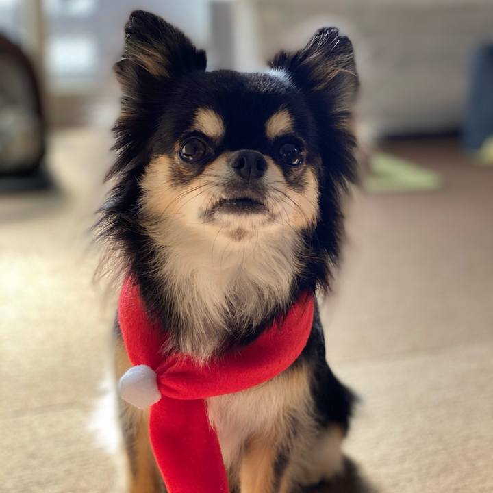 C58c00e4 0c57 4cad b762 0738aac9e94f 1606720757732