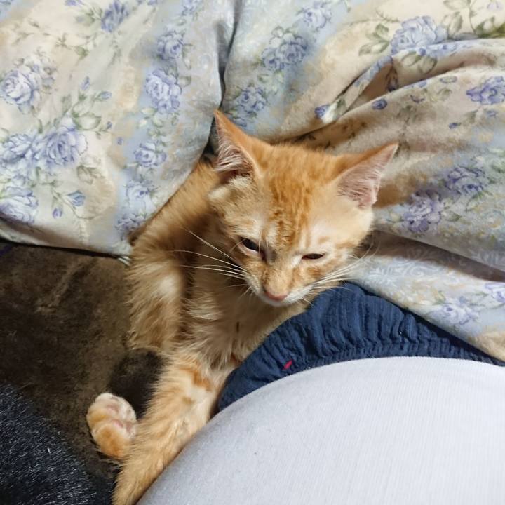 C58c136d a325 4224 aea8 9567c6c6a6b3 1631276007716