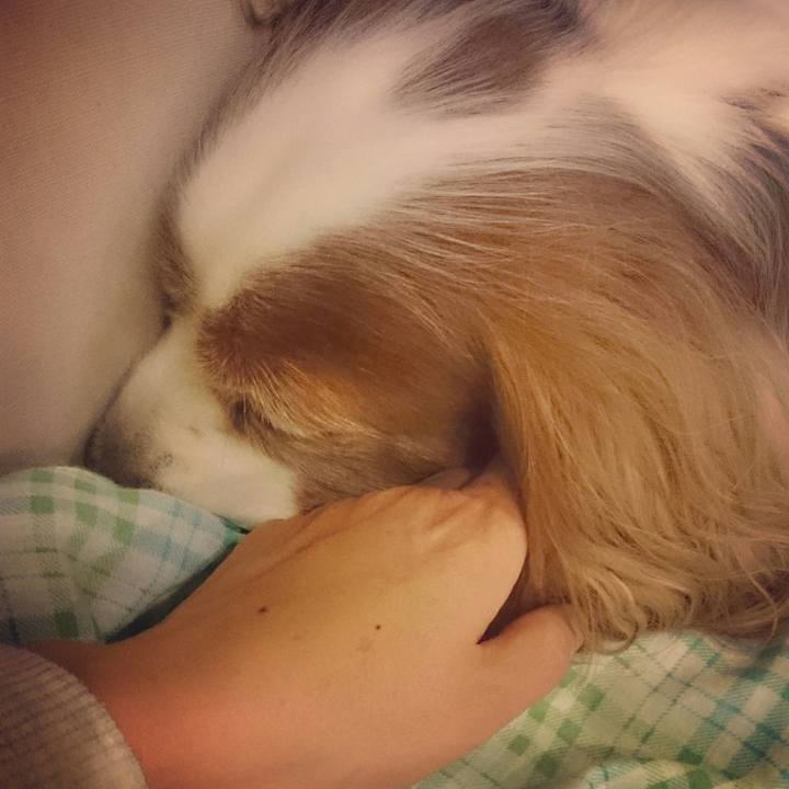 C58c4901 6f59 42dc b121 79dec706458f 1519223633812