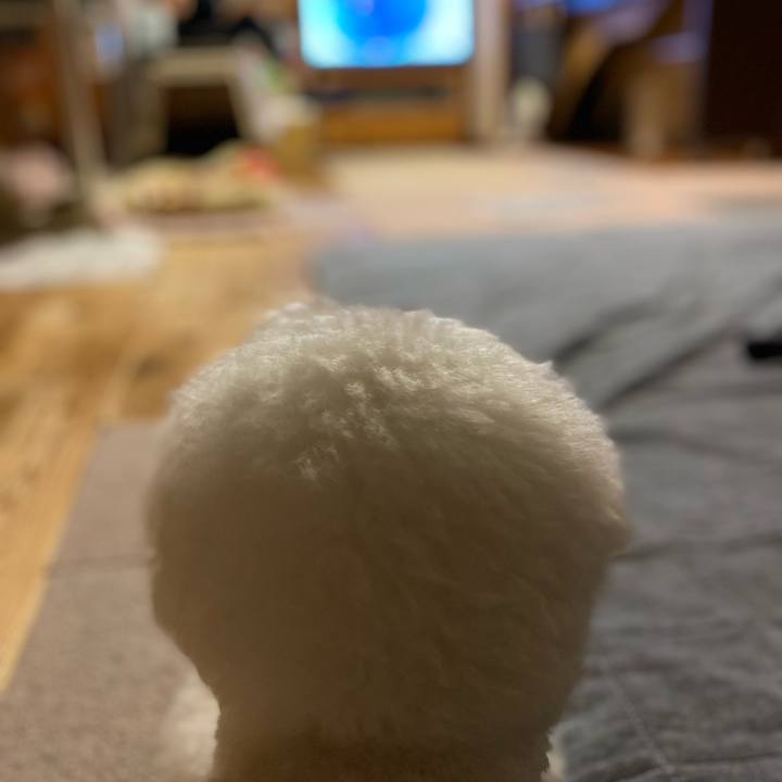 C58c7ea7 9621 4cbf a254 e3adf39ddeb6 1634466831968