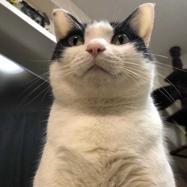 C58cc704 864f 4c6e a1bb d6ebc51eb0ae 1519819539844