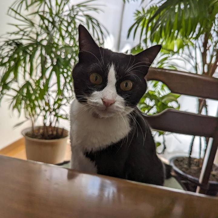 C58cfb64 7252 4018 978a 95175d739104 1694328302221