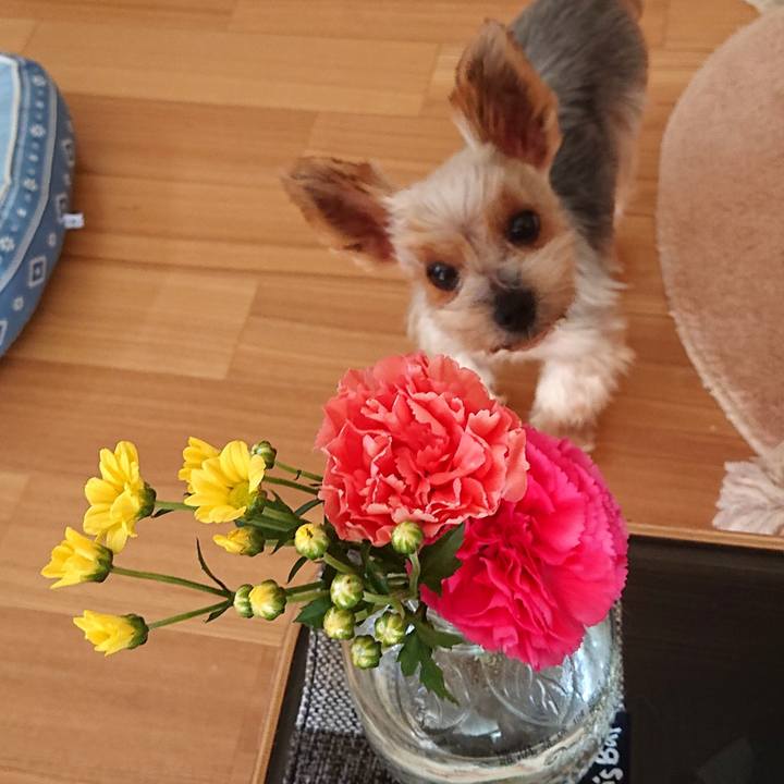 C58d1800 3b6e 4223 953f 6dada70705c6 1598668355190