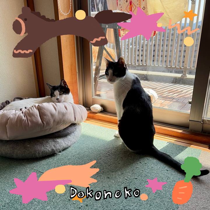 C58d4399 ef41 4e57 806b e14858a8041a 1772458838893