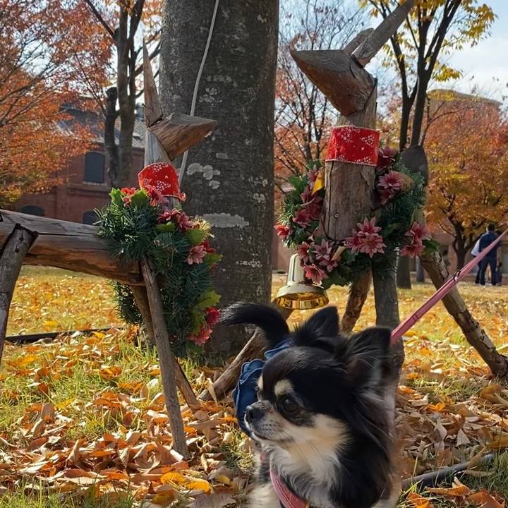 C58d5189 9414 4e9c 88af e759bb32cb20 1605436722638