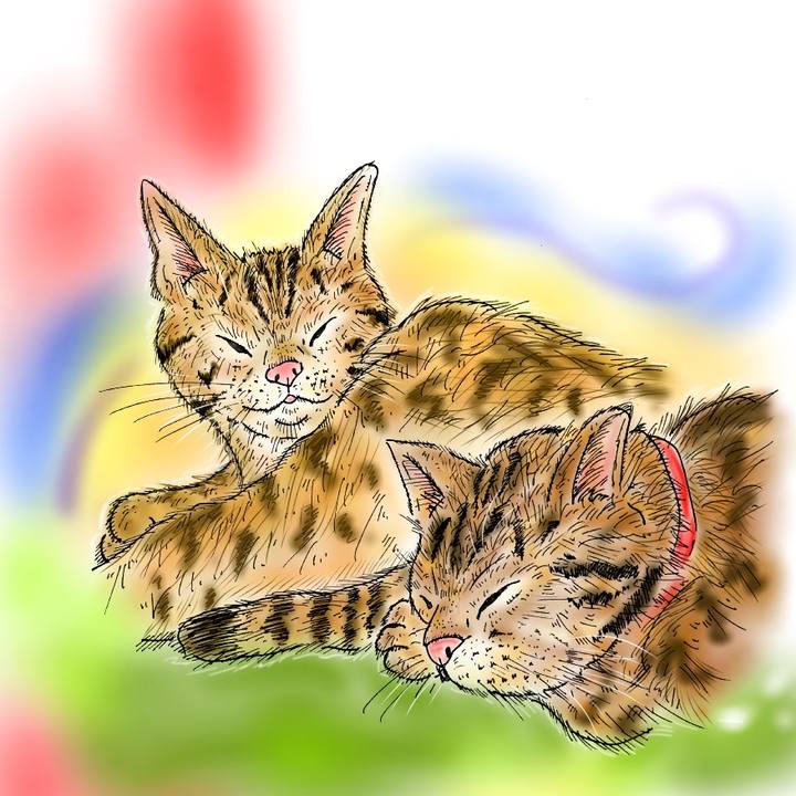 C58d5d07 a34d 4d51 83a7 d09de94d1906 1589740482252