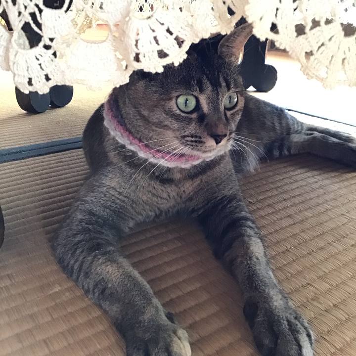 C58daef9 f58e 421e a90c 8bd5d9e06207 1627524571532