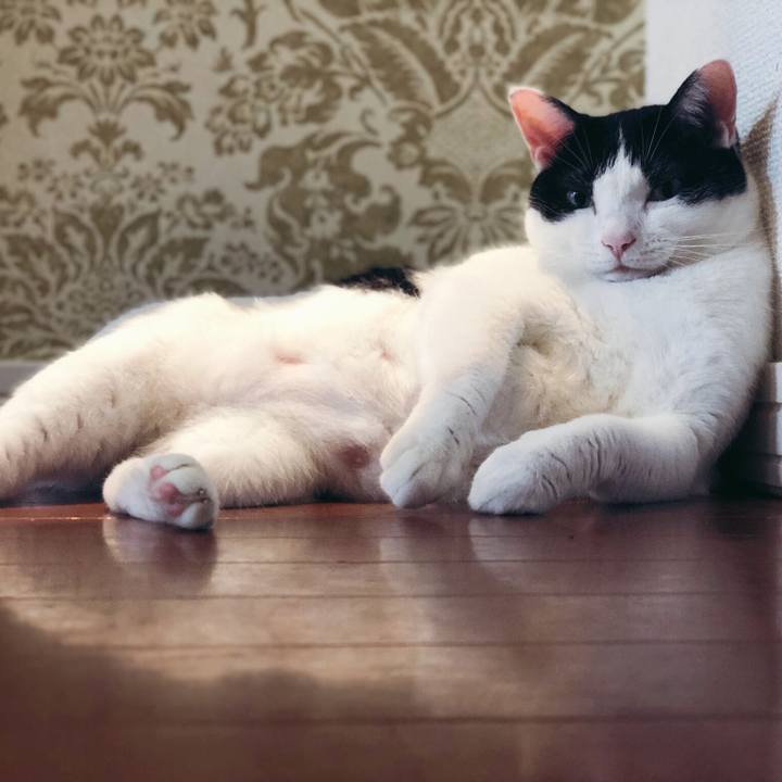 C58db7fb 9c3a 4b5b b239 2028e7b8bdd8 1567940598743