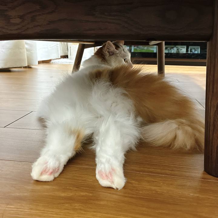 C58dc98e 490a 4417 8764 9bed36ae38d5 1768880249764