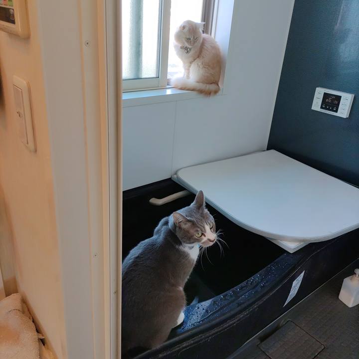 C58dda5a f608 43f0 a650 1829c49ccae6 1699086764412