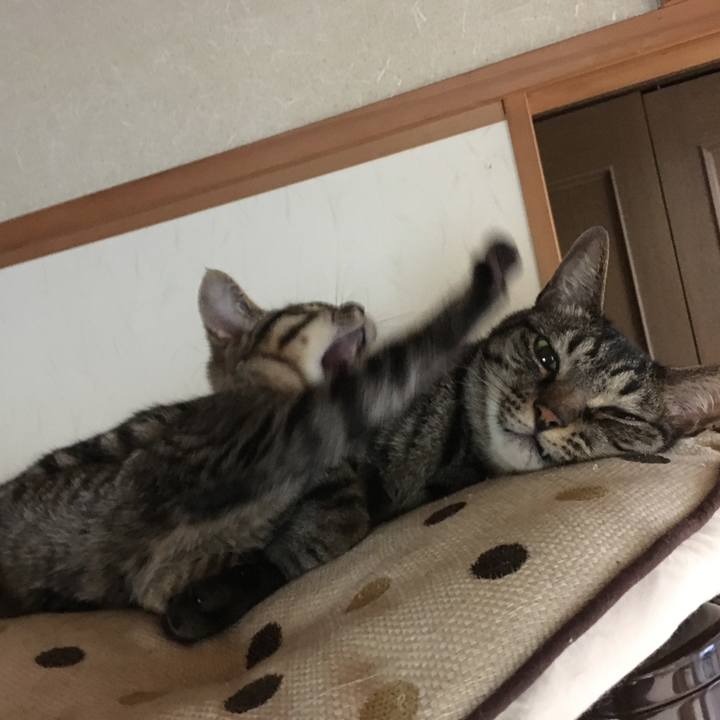 C58ddf64 2a40 4459 8cda 3a6dc9c34446 1532327609200