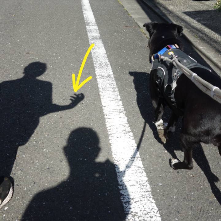 C58de9ad 329f 4ff7 9aec ce5a71947030 1654044487207