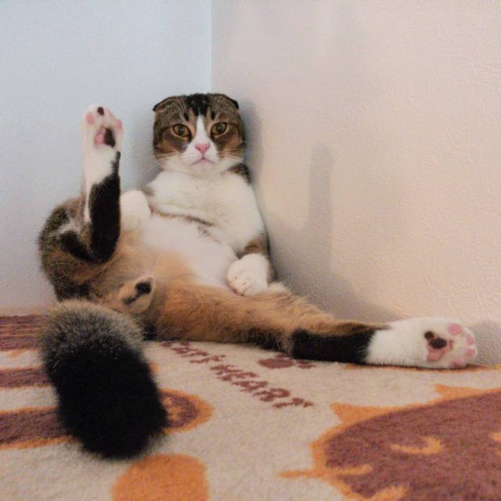 C58dfc2e 77ca 4561 b103 7421e5f65174 1546693578248