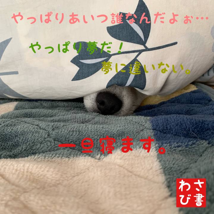 C58e0a39 f6ed 4472 8ee7 f077717a5a1c 1615695056355