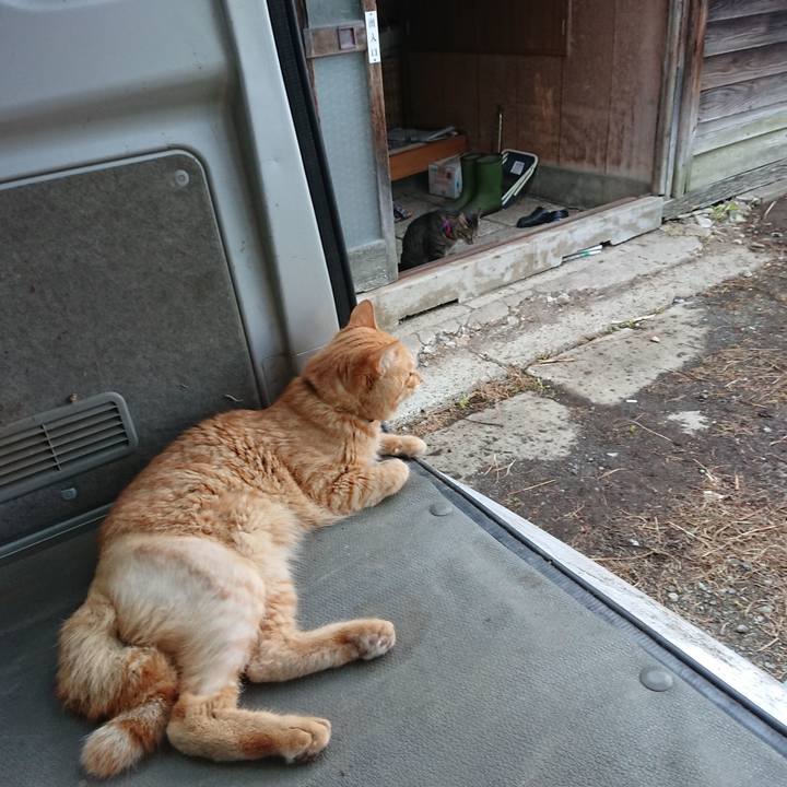 C58e7019 fab8 4073 8b68 adb8660170b4 1657617483937