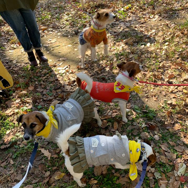 C58e8371 9bf1 469f 8e21 9a5fd0404644 1606569425270