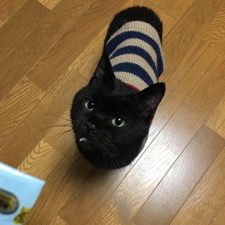 C58e8827 081e 4ad3 bc2d d0706e3c3571 1549355169651