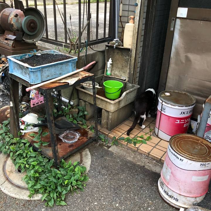 C58ec2f4 63ac 4c75 82ee 5364ee1e6220 1536838704323