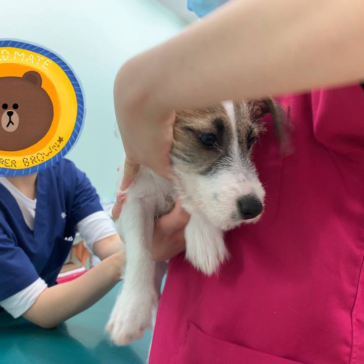 C58f0076 b205 490f bfb5 62ae27919a15 1561888449438