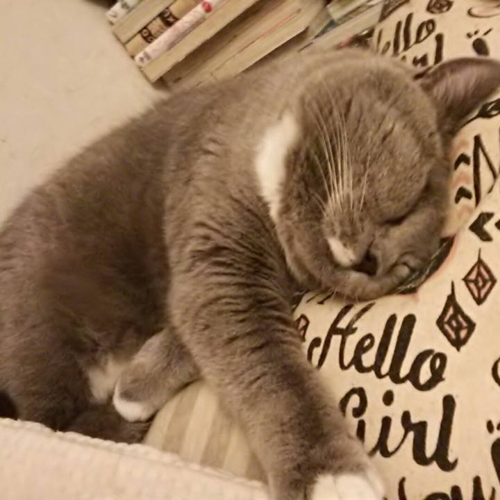 C58f177c 0749 4e19 ad42 fedeff9d689d 1546937619688