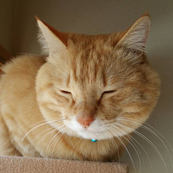 C58f1996 87b0 4132 b0c9 cfd349eb416f 1521335497251