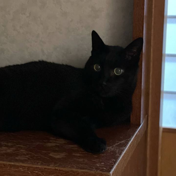 C58f5462 9569 4c26 b6cb a44ba76d1508 1617500596951