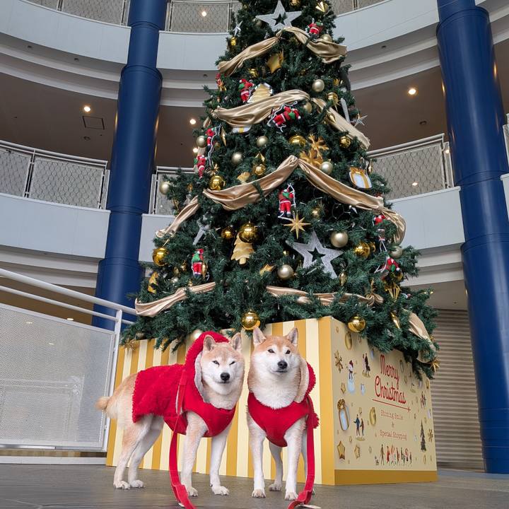 C58f575e c42f 48d4 9a3b 1e78a8f6d8c4 1766116397038