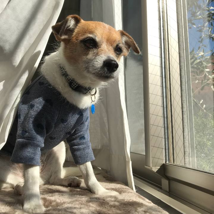 C58f6aca 9392 43fb ba50 33a3d7e47a54 1579407576525