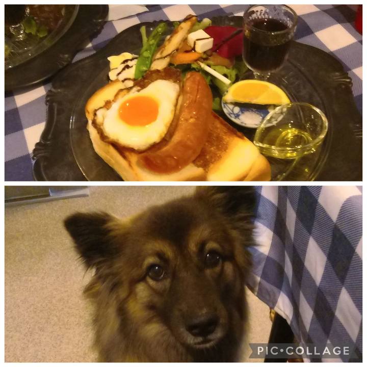 C58f801a 73b9 422b 9fda af4cae35a378 1770438251032