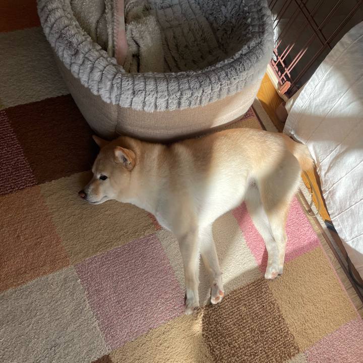 C58fb1a7 22ee 4a50 8361 8b32a0256354 1671159335383