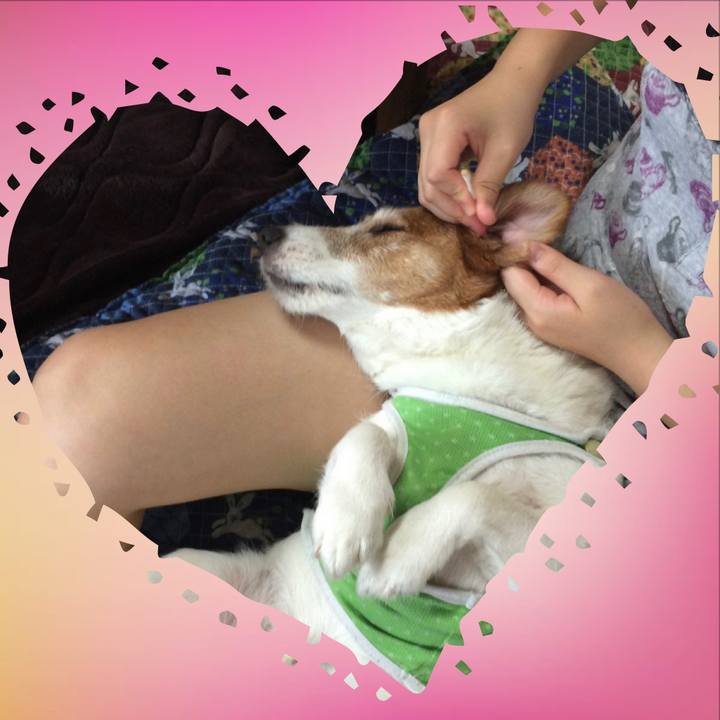 C58fb8a0 7126 4d6b 8fa5 7aea37427f48 1644450712705