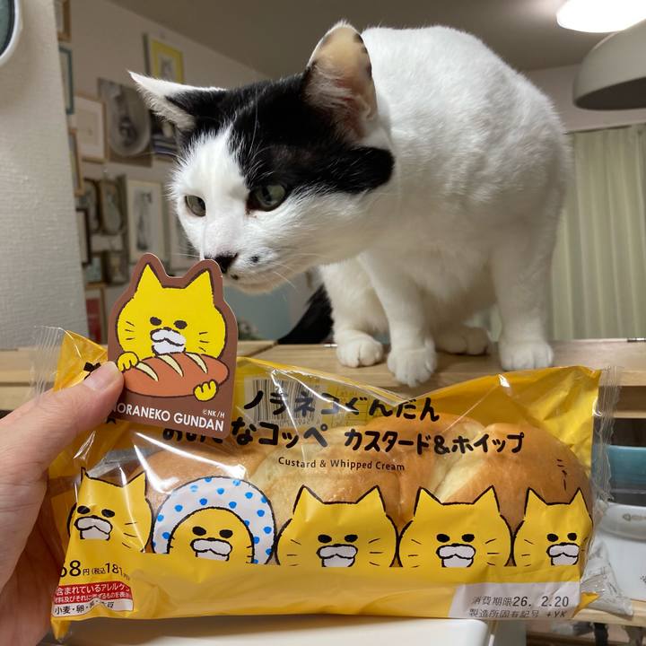 C58fc9c9 1524 45bd a787 234b23310cac 1771322251800