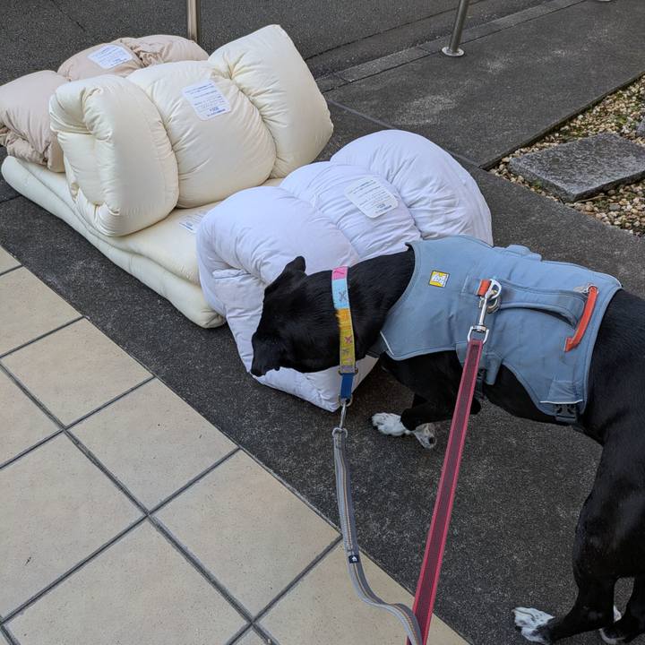 C58fdc5d 1ed6 4902 9d71 6eb72161b576 1762131526304