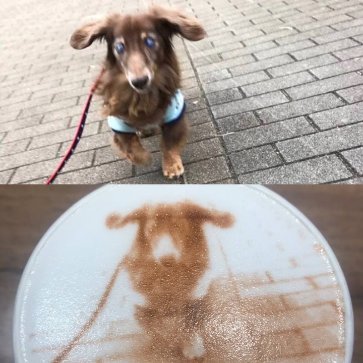 C5902461 8181 4cfc b979 baa8c77225bd 1552046196781