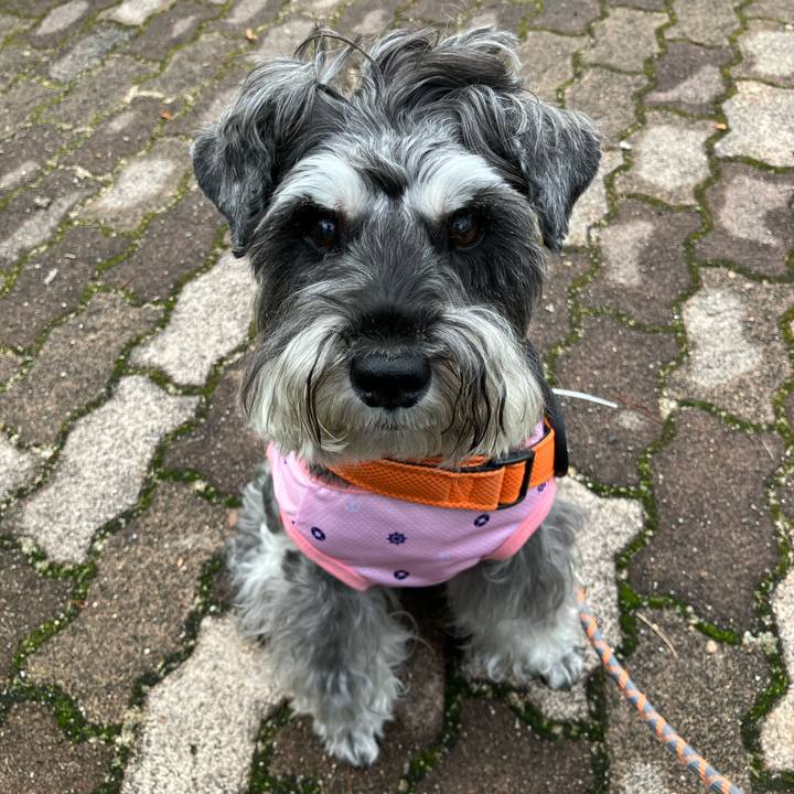 C5902915 78bc 46ff bd03 30e6308a88bf 1728166460159