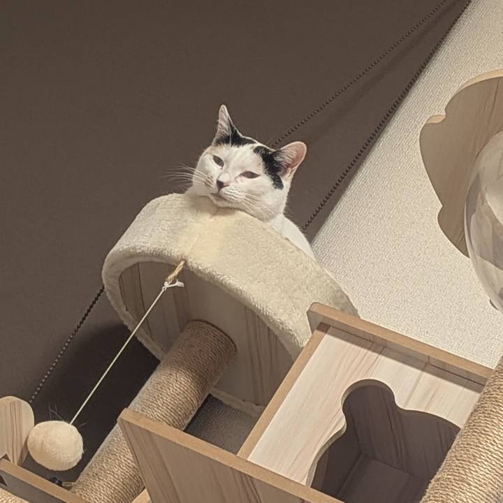 C5903f02 77a0 4090 85cb 8613b77e6dae 1756215723921