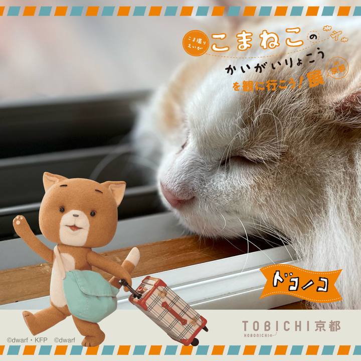 C59079d2 f4a5 45b2 a4fd 3910226006f1 1740178757234